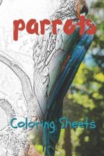 Parrot Coloring Sheets: 30 Parrot Drawings, Coloring Sheets Adults Relaxation, Coloring Book for Kids, for Girls, Volume 4