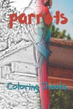 Parrot Coloring Sheets: 30 Parrot Drawings, Coloring Sheets Adults Relaxation, Coloring Book for Kids, for Girls, Volume 6