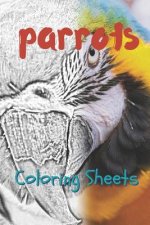 Parrot Coloring Sheets: 30 Parrot Drawings, Coloring Sheets Adults Relaxation, Coloring Book for Kids, for Girls, Volume 7