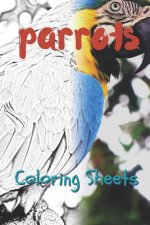 Parrot Coloring Sheets: 30 Parrot Drawings, Coloring Sheets Adults Relaxation, Coloring Book for Kids, for Girls, Volume 13