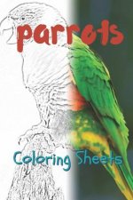Parrot Coloring Sheets: 30 Parrot Drawings, Coloring Sheets Adults Relaxation, Coloring Book for Kids, for Girls, Volume 15