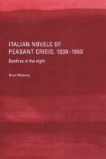 Italian Novels of Peasant Crisis, 1930-50: Bonfires in the Night