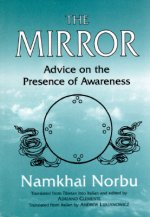 The Mirror: Advice on the Presence of Awareness