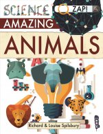 Amazing Animals