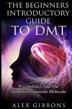 Beginners Introductory Guide To DMT - Psychedelics And The Dimethyltryptamine Molecule