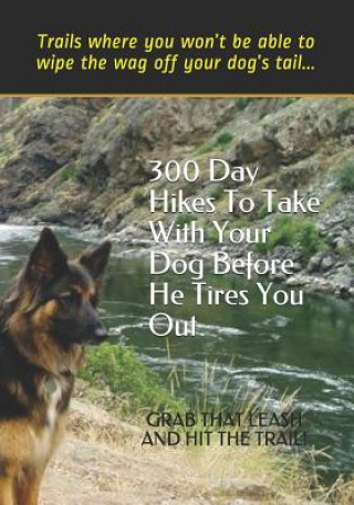 300 Day Hikes To Take With Your Dog Before He Tires You Out