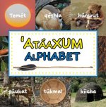 Ataaxum Alphabet