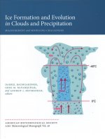Ice Formation and Evolution in Clouds and Precipitation: Measurement and Modeling Challenges