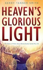 Heaven's Glorious Light: The Story of How Jesus Miraculously Saved My Life