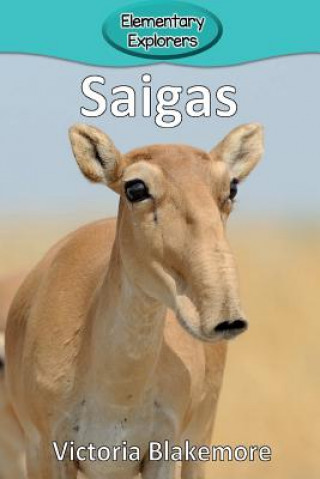 Saigas