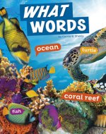 What Words