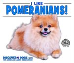 I Like Pomeranians!