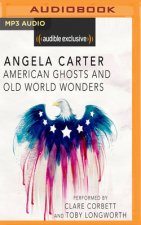 American Ghosts and Old World Wonders