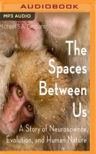 The Spaces Between Us: A Story of Neuroscience, Evolution, and Human Nature