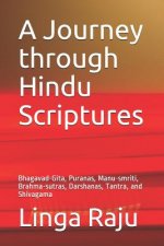 Journey through Hindu Scriptures