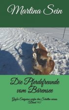 Die Pferdefreunde vom Bärensee: Große Ereignisse werfen ihre Schatten voraus