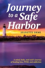 Journey to a Safe Harbor: A mind, body and soul's journey of healing loss, PTSD and addiction