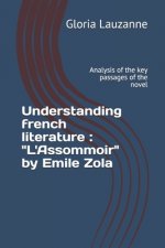 Understanding french literature