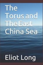 The Torus and the East China Sea