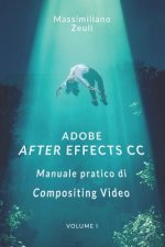 Adobe After Effects CC - Manuale pratico di Compositing Video (Volume 1): Interno in Bianco e Nero