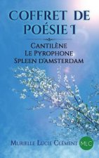 Coffret de Poésie I: Cantil?ne, Le Pyrophone, Spleen d'Amsterdam