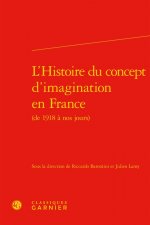 L'Histoire Du Concept d'Imagination En France