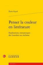 Penser La Couleur En Litterature: Explorations Romanesques Des Lumieres Au Realisme