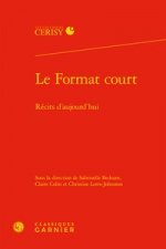 Le Format Court: Recits d'Aujourd'hui