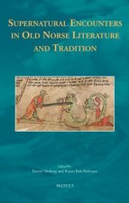 Supernatural Encounters in Old Norse Literature and Tradition
