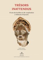 Tresors Inattendus: Trente ANS de Fouilles Et de Cooperation a Umm El-Breigat (Tebtynis - Fayoum)