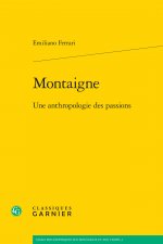 Montaigne: Une Anthropologie Des Passions