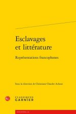 Esclavages Et Litterature: Representations Francophones