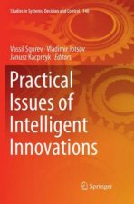 Practical Issues of Intelligent Innovations