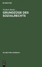 Grundzuge des Sozialrechts