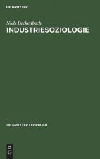 Industriesoziologie