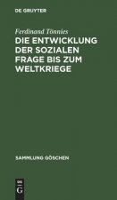 Entwicklung der sozialen Frage bis zum Weltkriege