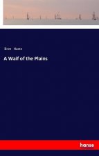A Waif of the Plains