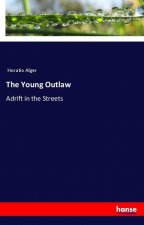 The Young Outlaw