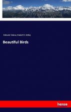 Beautiful Birds