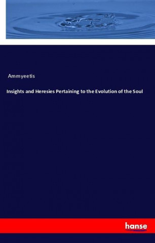 Insights and Heresies Pertaining to the Evolution of the Soul