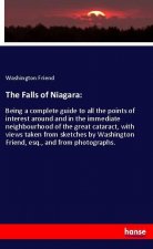 The Falls of Niagara: