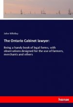 The Ontario Cabinet lawyer: