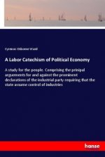 A Labor Catechism of Political Economy