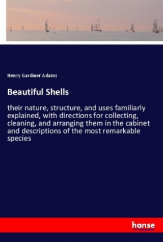 Beautiful Shells