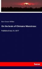 On the brain of Chim?ra Monstrosa: