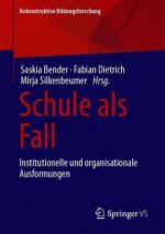 Schule als Fall