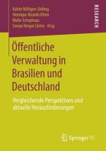 OEffentliche Verwaltung in Brasilien Und Deutschland