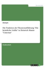 Die Funktion der Theateraufführung 