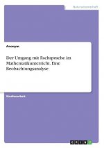 Der Umgang mit Fachsprache im Mathematikunterricht. Eine Beobachtungsanalyse