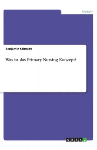Was ist das Primary Nursing Konzept?